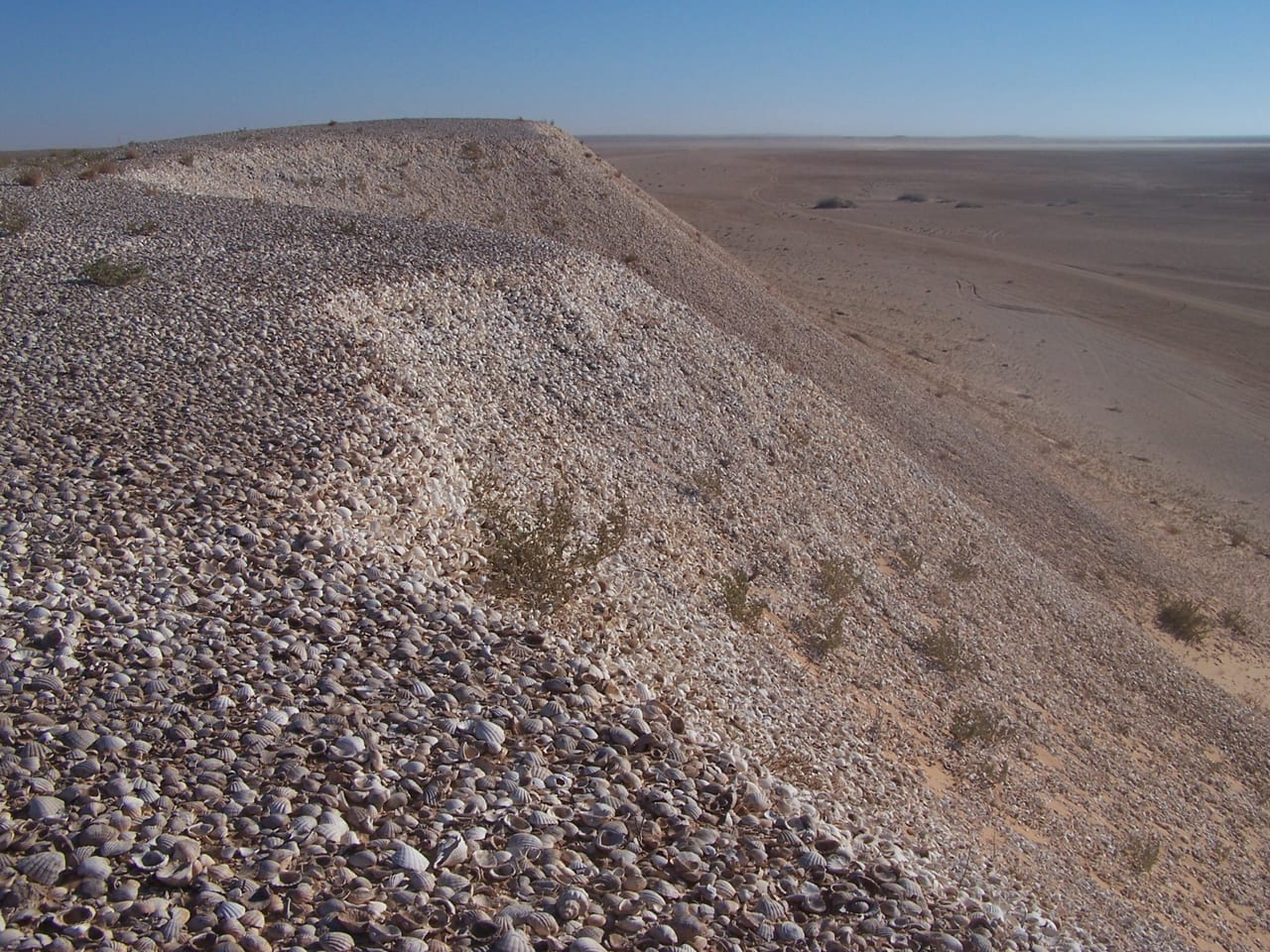 Banc d'Arguin, Mauritanie, zone humide et falaise