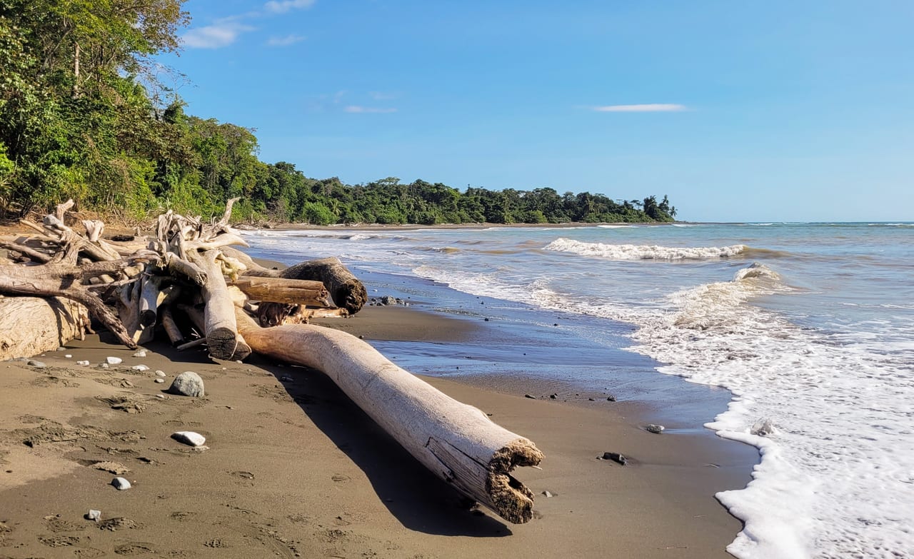 Parc national du Corcovado, Costa Rica, foret tropicale et mangrove