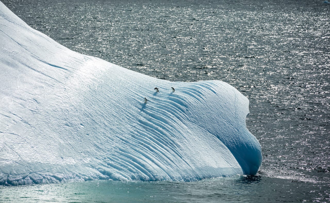 Île de la Déception, Antarctique, volcan et geothermal