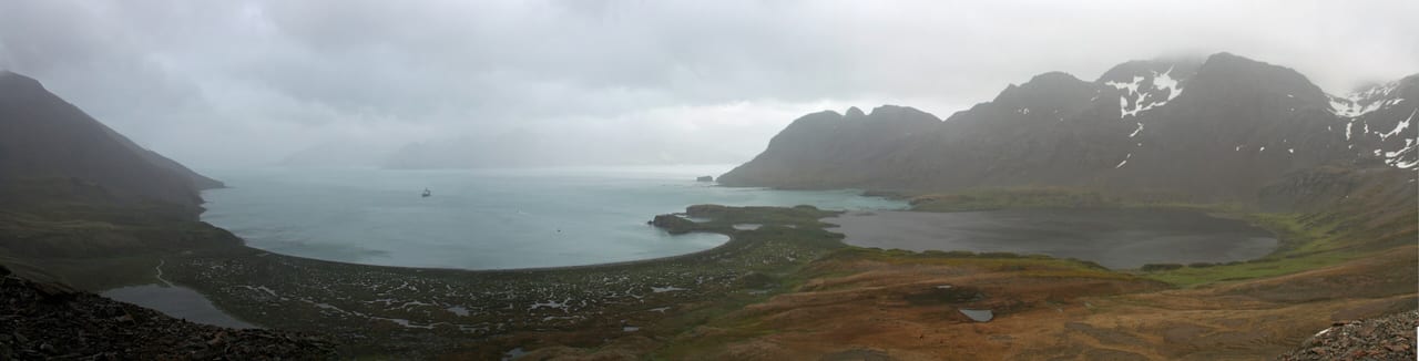 Géorgie du Sud, Géorgie du Sud-et-les Îles Sandwich du Sud, faune et ile
