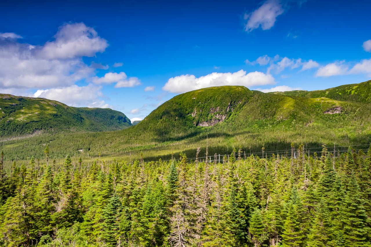 Gros-Morne, Canada, fjord et montagne