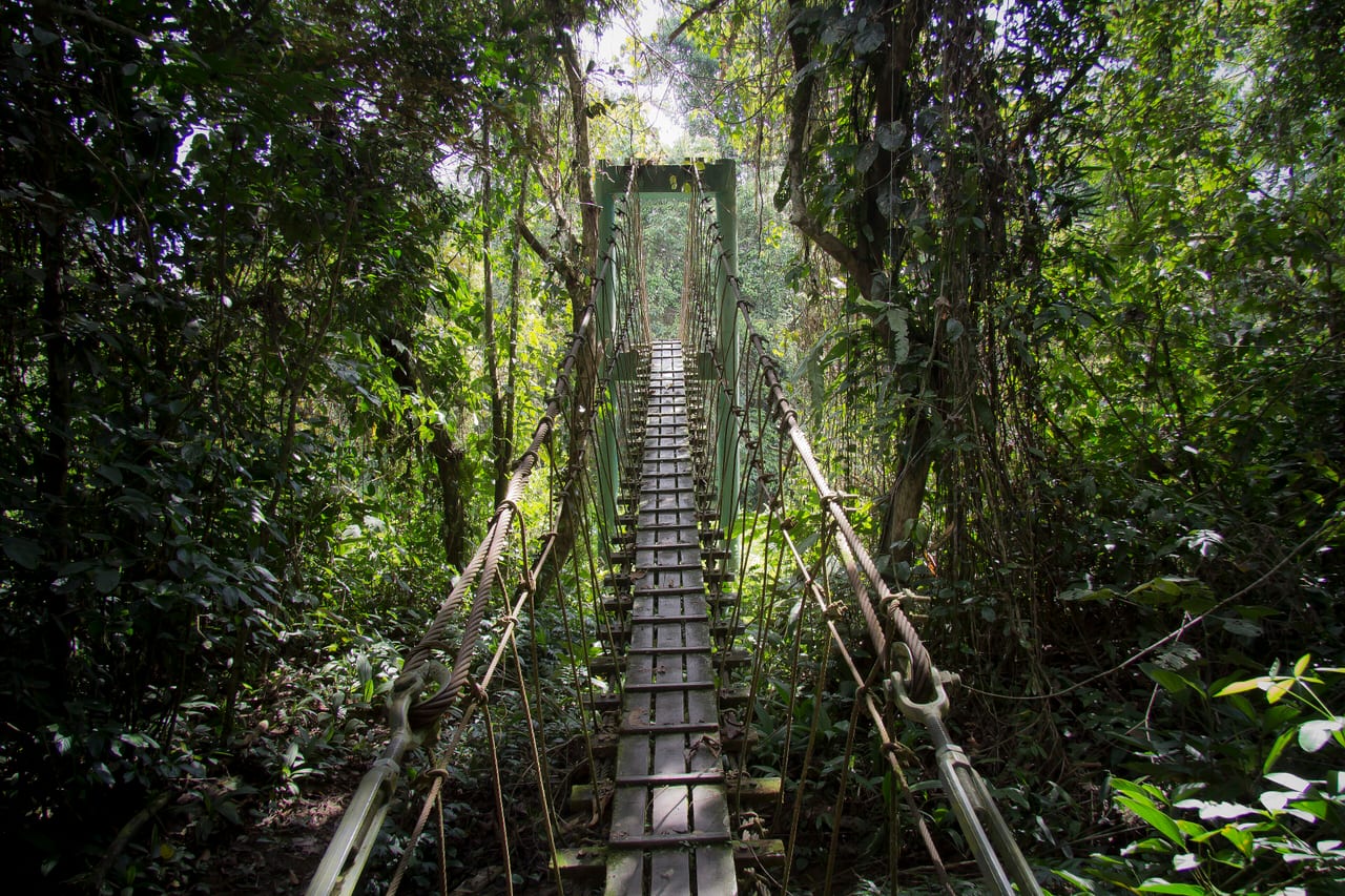Parc national de Gunung Mulu, Malaisie, grotte et karst