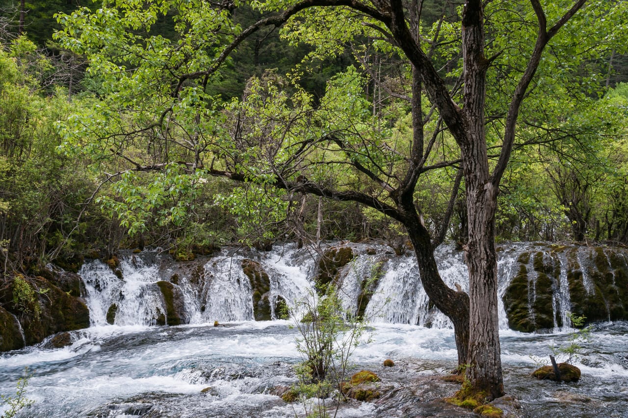 Vallée de Jiuzhaigou, Chine, lac et cascade