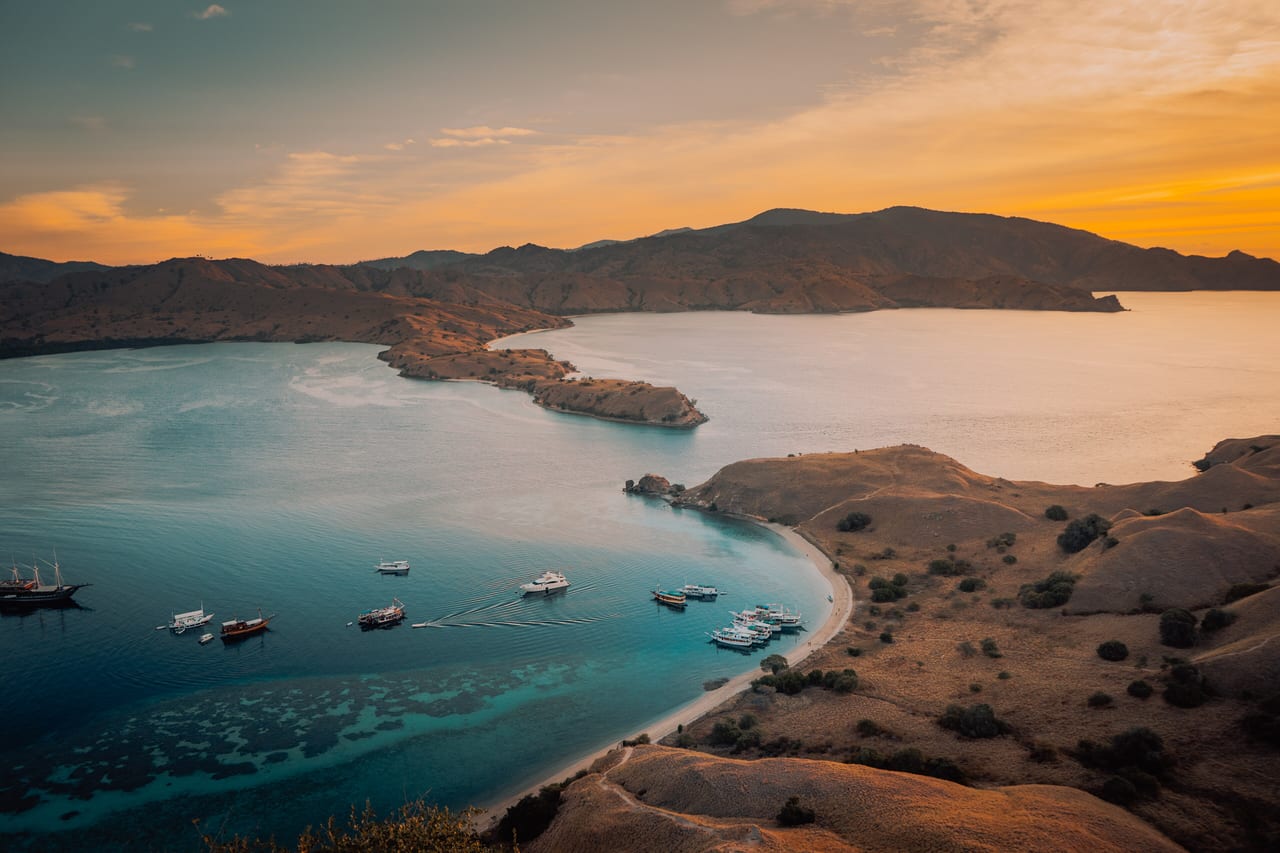 Parc national de Komodo, Indonésie, faune et savane