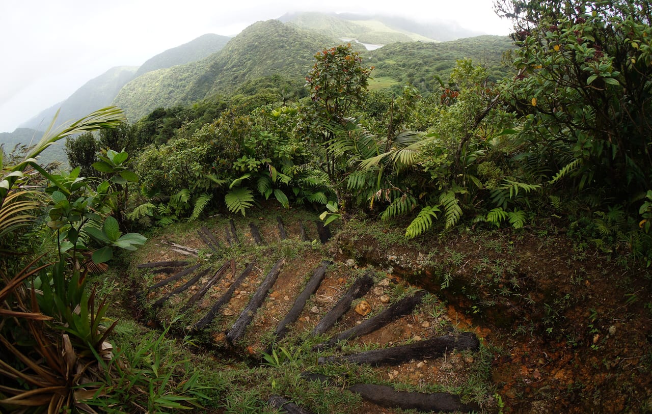 Parc national de Morne Trois Pitons, Dominique, volcan et geothermal