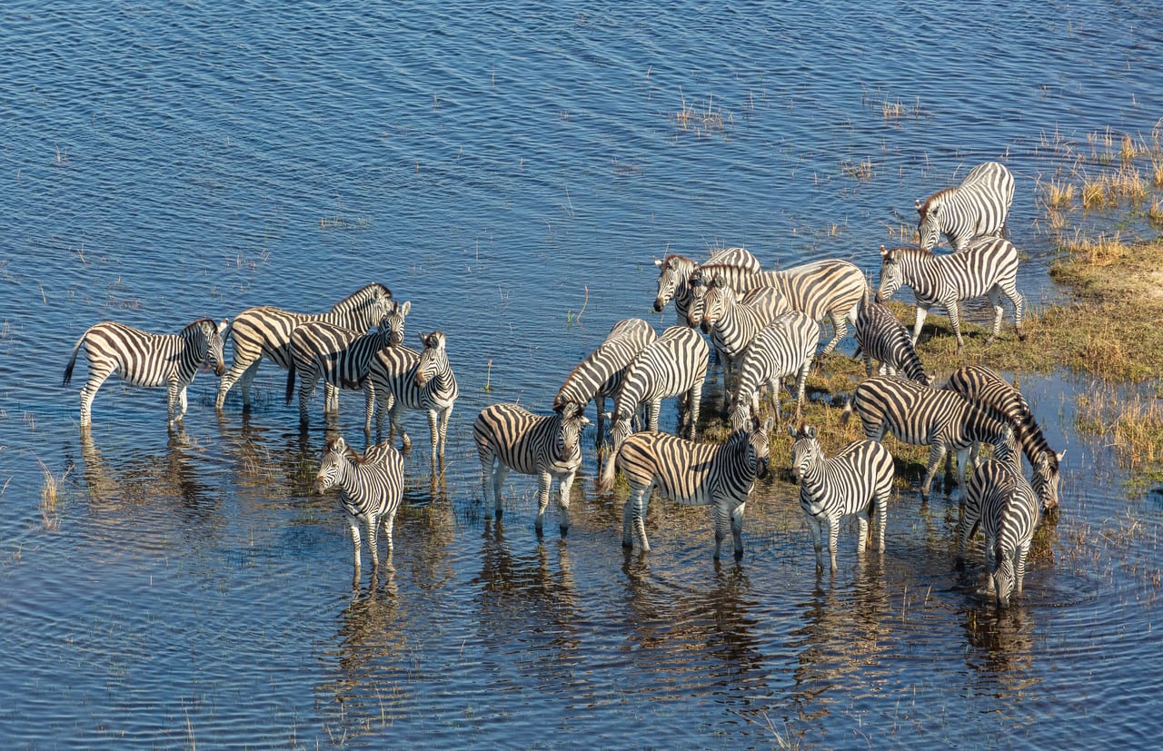 Delta de l'Okavango, Botswana, zone humide et fleuve