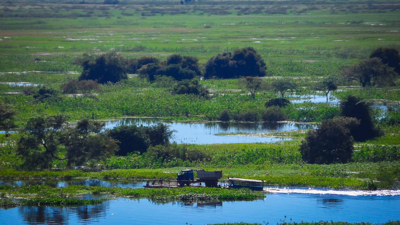 Pantanal, Brésil et Bolivie et Paraguay, zone humide et fleuve
