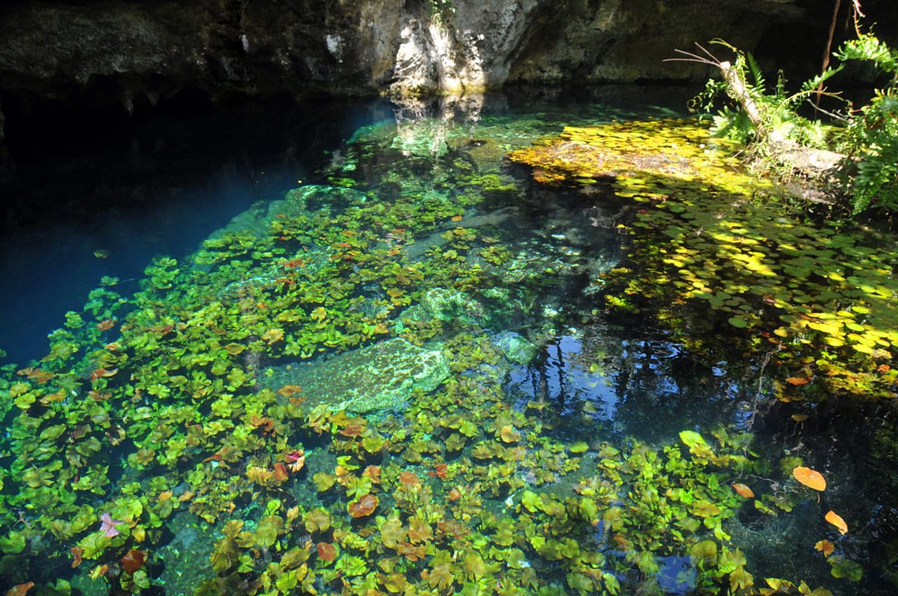 Sistema Sac Actun, Mexique, grotte et karst