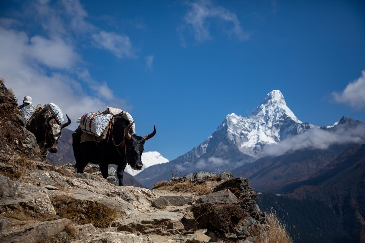 Parc national de Sagarmatha, Népal, montagne et glacier