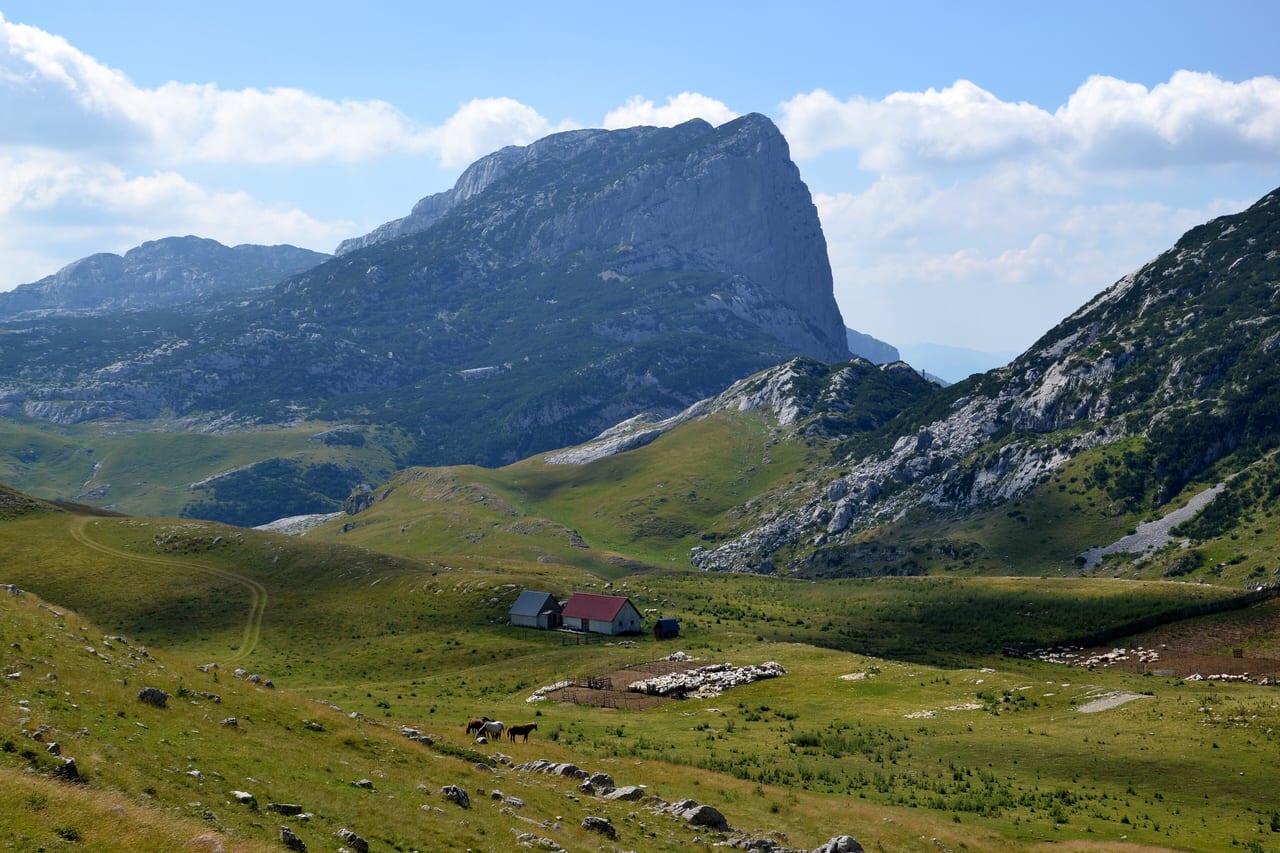 Canyon de la Tara et massif du Durmitor, Monténégro, canyon et montagne