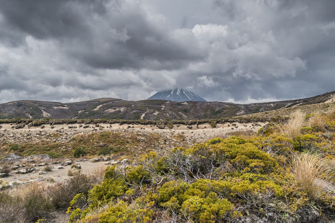 Parc national de Tongariro, Nouvelle-Zélande, volcan et montagne