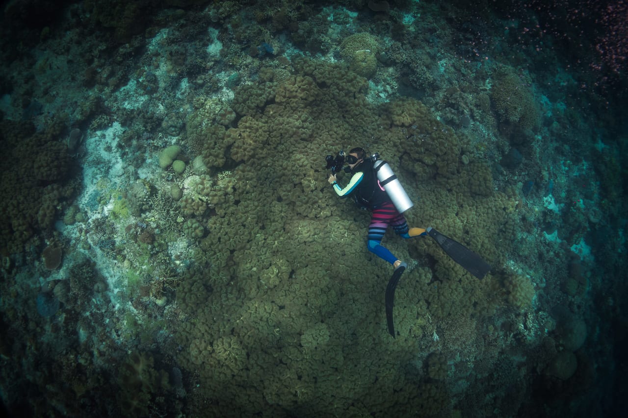 Parc naturel des récifs de Tubbataha, Philippines, atoll et ocean